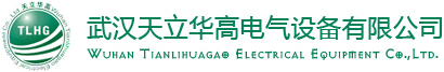 這是關(guān)于武漢天立華高電氣設(shè)備有限公司的logo圖片，歡迎大家來(lái)公司網(wǎng)站！